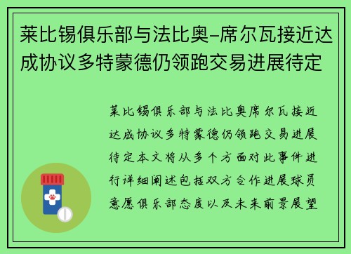 莱比锡俱乐部与法比奥-席尔瓦接近达成协议多特蒙德仍领跑交易进展待定